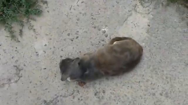 20140810 135440 смотреть онлайн