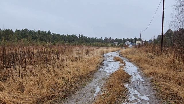 3465199 Автомобилист 1 смотреть онлайн