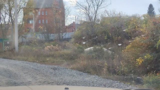 Воронежская область