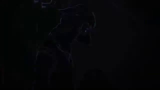 Beastars「AMV」Animals смотреть онлайн