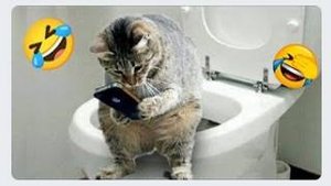 приколы супер 2024