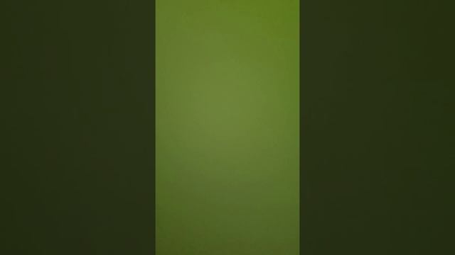 H1 Plymouth Rock ピアノ伴奏 смотреть онлайн