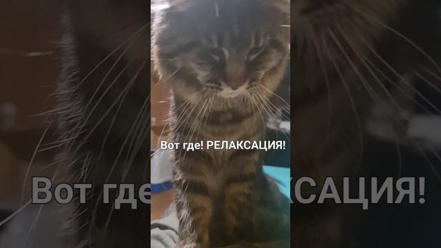 Релаксация после выставки