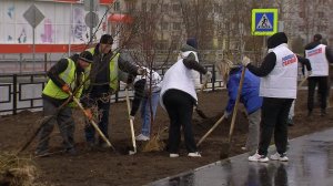 Высадили  яблони на Заславского