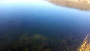 Игра прототипа джеркбейта от Tavrida Baits