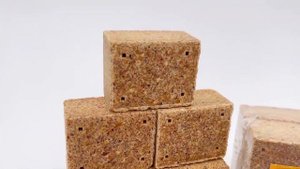 Жмых кукурузный оригинальный