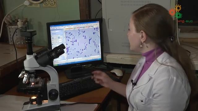 виготовлення фіксованих мікропрепаратів