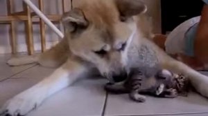 Багровы пик