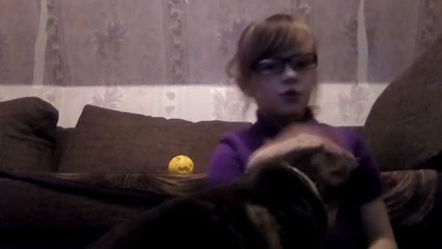 Что надо знать когда заводим котов. Я ношу очки??? смотреть онлайн