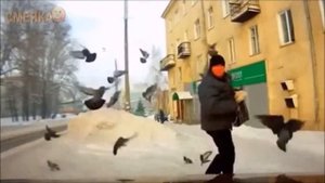Приколы:клевая нарезка приколов лето 2016