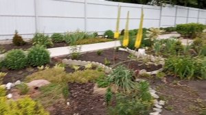 Жаркий июнь. Обзор сада