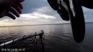 Поклёвки судака, форсирование из глухого коряжника