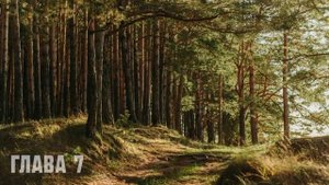 Песенка Лепрекона про работу_Выходные с пьяным лепреконом, или Как найти свою радость_Клаус Дж. Джоу