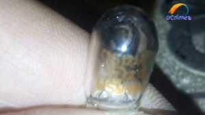 Замена лампочки подсветки на Renault Duster