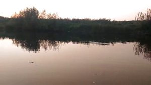 на инюшке в коряжнике