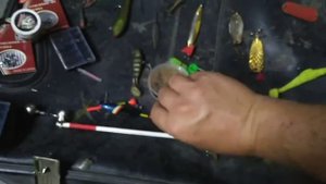 Шок. В кого превратился опарыш(((.