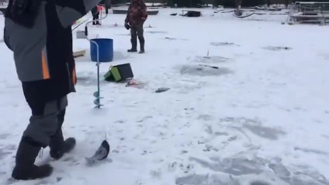 Ловля форели со льда . РК Фишка Липки. смотреть онлайн