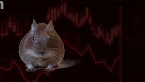 Sound To Scare Rats Away | ONE HOUR