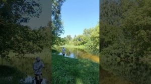 Краткий обзор purelure Grupla и Seaknight Falcan 3