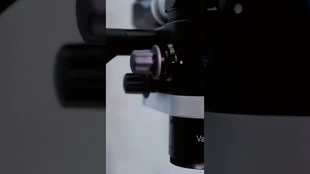 Микроскоп   один из самых важных девайсов в нашей стоматологии 👌🏻 смотреть онлайн