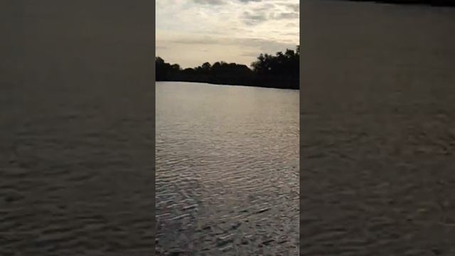 РЫБАЛКА НА ДНЕСТРЕ..СТОИМ НА Яме.Г.ОДЕССА смотреть онлайн