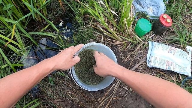 Как правильно замешать прикормку для рыбалки