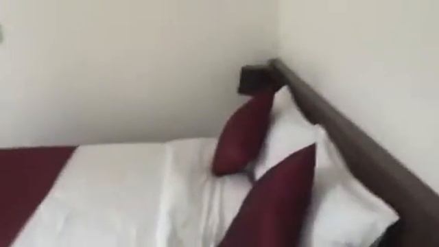 Вува 2