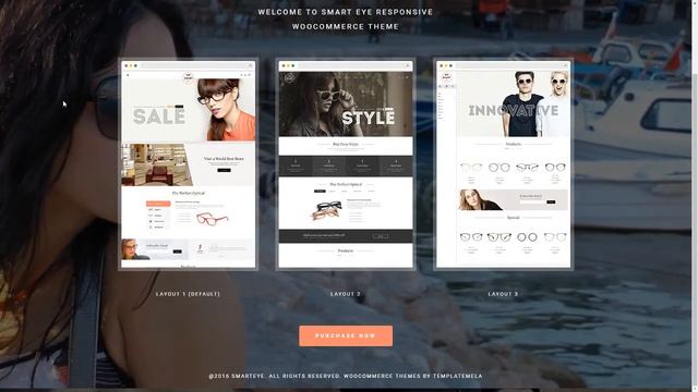Smart Eye Glasses WooCommerce Theme Hikari Chip смотреть онлайн