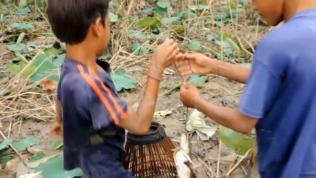 Amazing Two Children Catch Fish in the Pond Net Fishing In Cambodia Catch a Cook смотреть онлайн