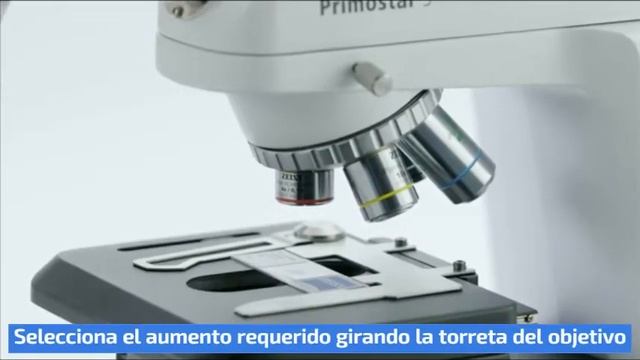 Cómo obtener tu primer imagen con el Microscopio Primostar 3 ZEISS смотреть онлайн