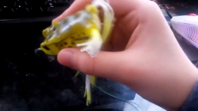 Что нужно для рыбалки?Что я беру с собой на рыбалку!