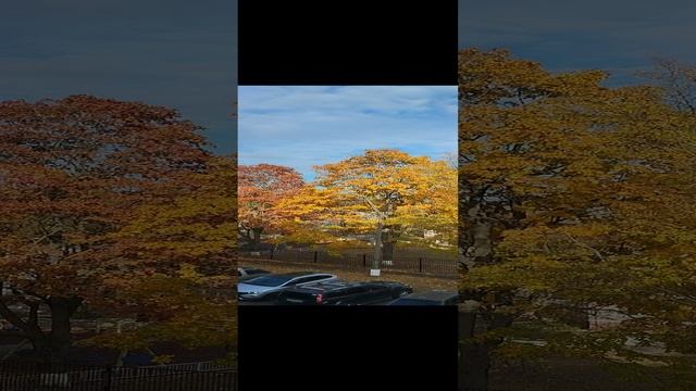 1000032160.mp4