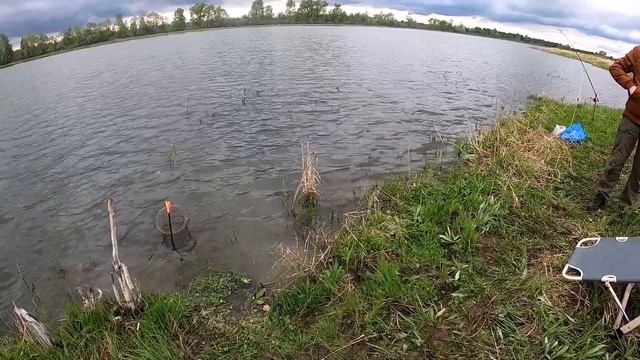 17 мая 2020 г. смотреть онлайн