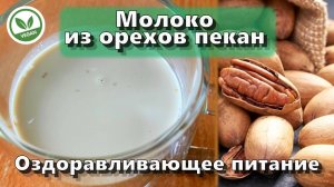 Молоко из орехов пекан — Рецепты — Оздоравливающее питание