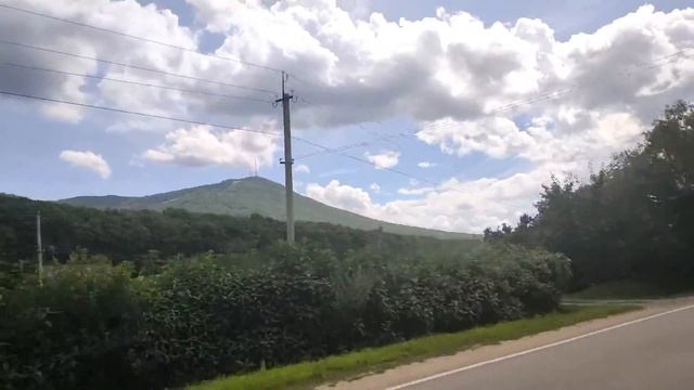 Природа, Горы, Лес Приморья (Владивосток, Уссурийск, Арсеньев)