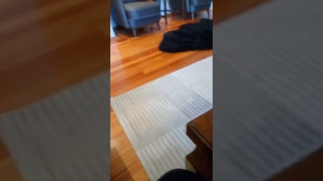 Mpz_c1200 mikroskop kullanımı