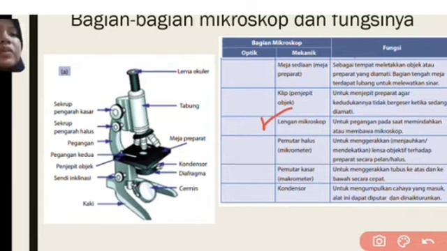 BAGIAN MIKROSKOP DAN FUNGSINYA смотреть онлайн