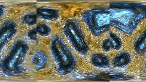 Phone case under microscope - Inskam 315