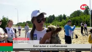 В Урае прошёл собачий кросс