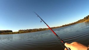 ОСЕННИЙ ДЖИГ НА ЩУКУ