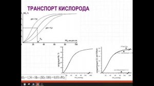 Дыхательная недостаточность