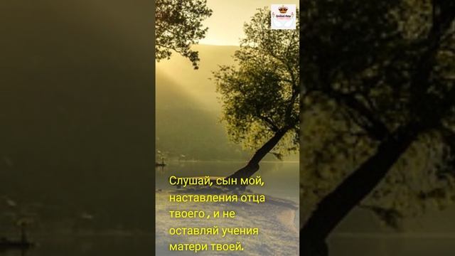 Откройте скрытые секреты мудрости и успеха - Пословицы 1(7-9) смотреть онлайн