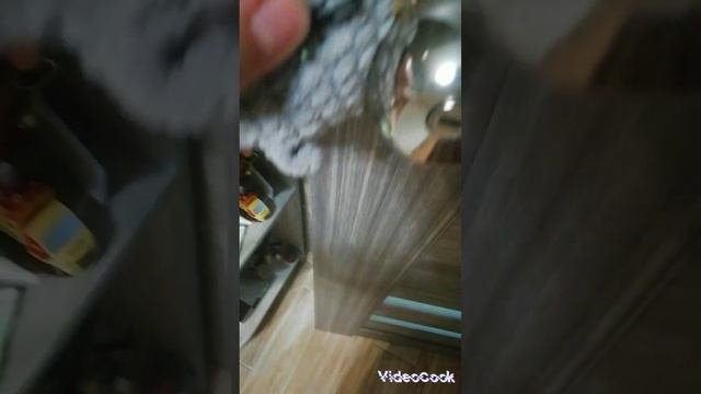 2серия смешного котика, сбежать из комнаты