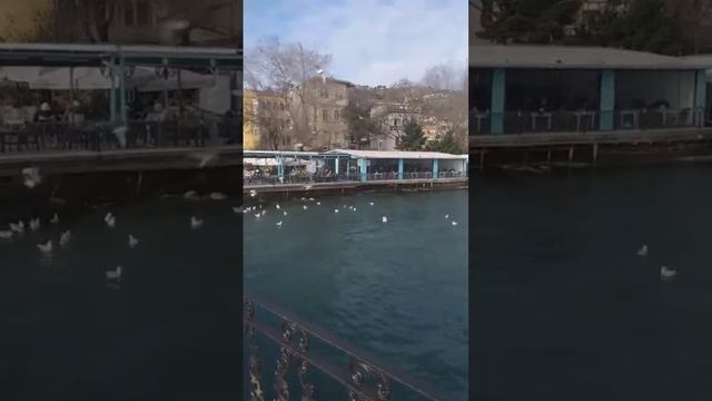 Чайки # Басфора # Турция, Сарыер сегодня смотреть онлайн