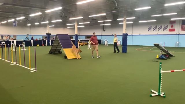AKC Agility February 17-19, 2023 смотреть онлайн