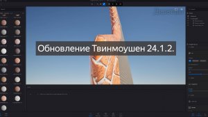 Обновление Твинмоушен 24.1.2.