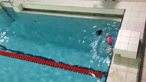 Соревнования по плаванию