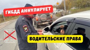 ГИБДД может аннулировать водительские права