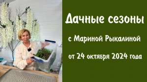 Дачные сезоны с Мариной Рыкалиной от 24 октября 2024 года