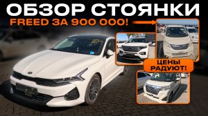 Парковка забита под завязку! Новый привоз авто октябрь 2024: актуальные цены